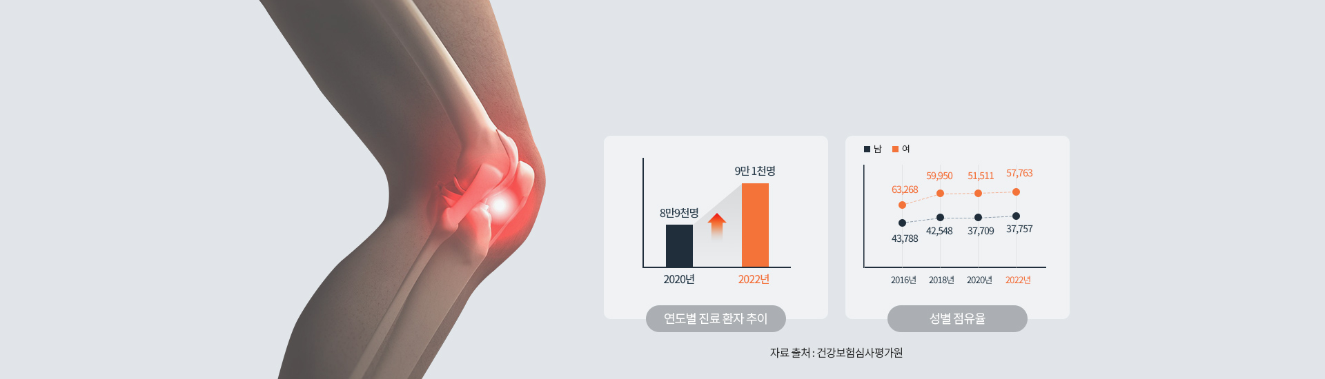 연도별 진료 환자 추이 2015년 10만4천여명 2019년 10만5천여명